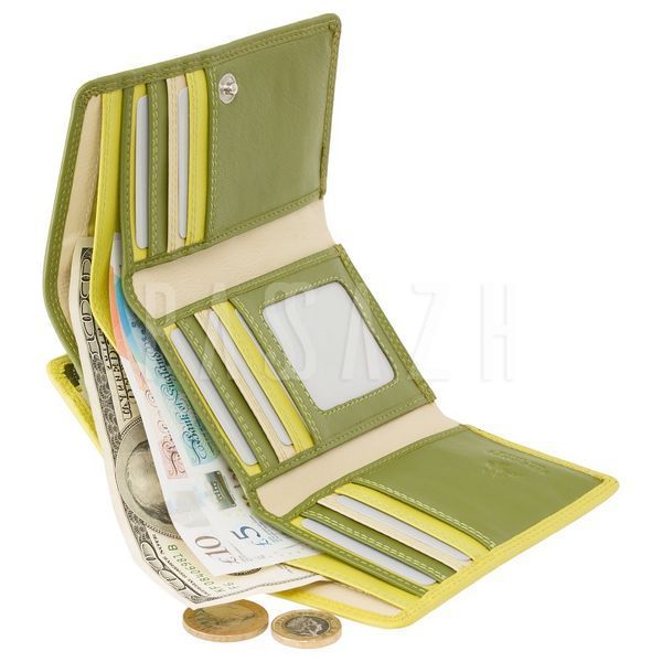 Гаманець жіночий Visconti RB43 Bora c RFID Lime Multi (RB43 LIME M) RB43 LIME M фото