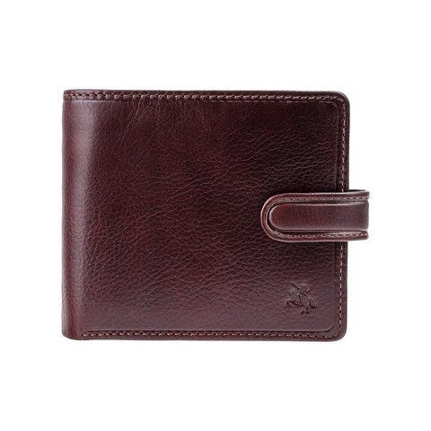 Гаманець чоловічий Visconti TSC42 Arezzo RFID Brown (TSC42 BRN) TSC42 BRN фото
