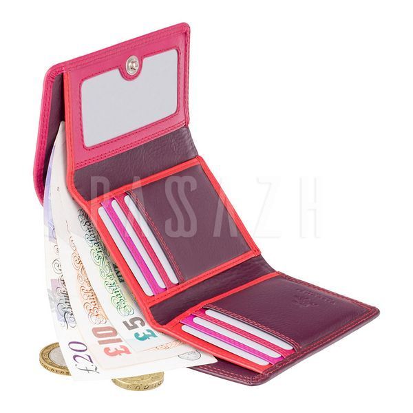 Кошелек женский Visconti RB39 Biola c RFID Plum Multi (RB39 PLUM M) RB39 PLUM M фото