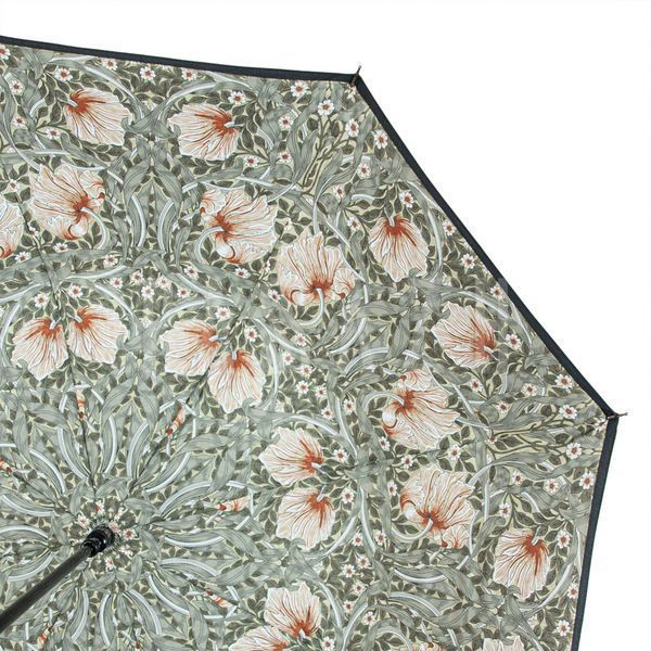 Парасолька жіноча Fulton L856-041062 Morris & Co. Bloomsbury Pimpernel Bayleaf Manilla (L856-041062) L856-041062 фото