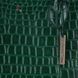 Сумка жіноча Ashwood C56 GREEN (C56 GREEN) C56 GREEN фото 6