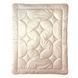 Дитяча ковдра Billerbeck 981 Cosidream Nature Kids Light 80x80 см (8100370001)
