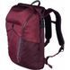 Рюкзак для ноутбука унисекс 20 л Victorinox Travel Altmont Active/Burgundy Червоний (Vt602138) Vt602138 фото 1