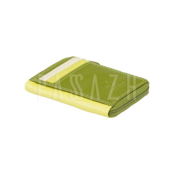 Картхолдер Visconti RB110 Phi Phi Lime Multi (RB110 LIME M) RB110 LIME M фото