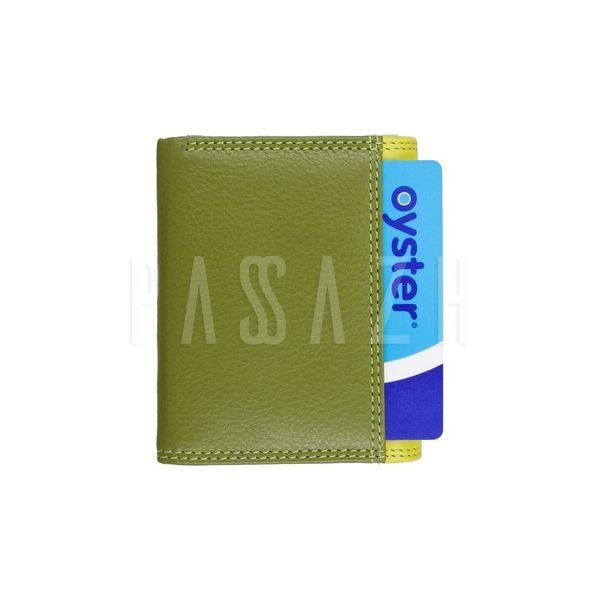 Гаманець жіночий Visconti RB126 Zanzibar Lime Multi (RB126 LIME M) RB126 LIME M фото