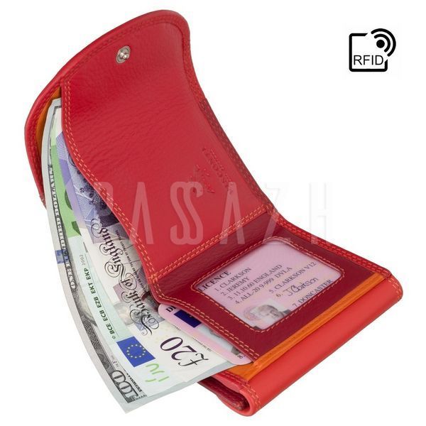 Кошелек женский Visconti RB126 Zanzibar Red Multi (RB126 RED M) RB126 RED M фото