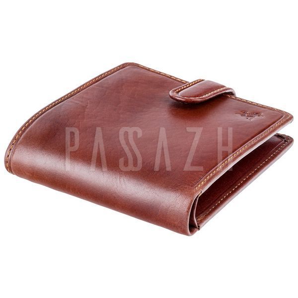 Гаманець чоловічий Visconti TSC41 Massa з RFID Tan (TSC41 TAN) TSC41 TAN фото